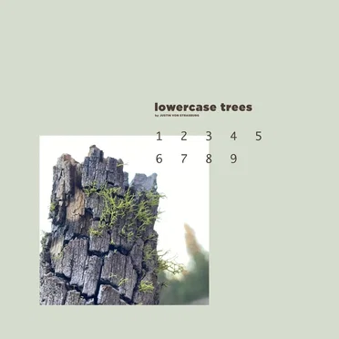 lowercase trees