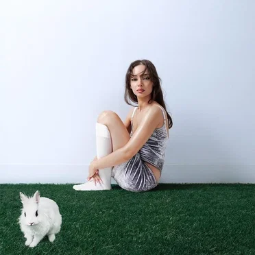 Le lapin blanc