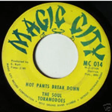 Hot Pants Break Down / Boot's Grove by The Soul Toranodoes - album cover