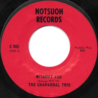 Without You by The Chaparral Trio - album cover
