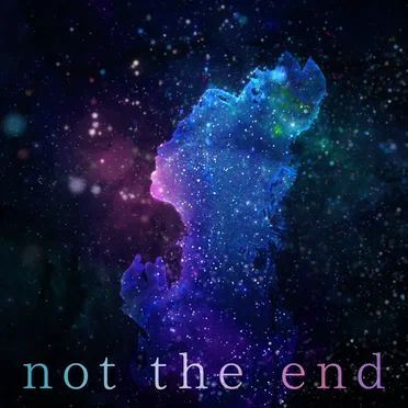 not the end by nowisee - album cover