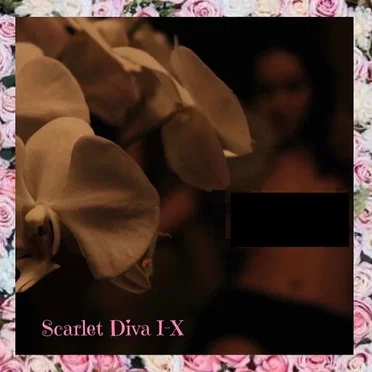 Scarlet Diva Collection