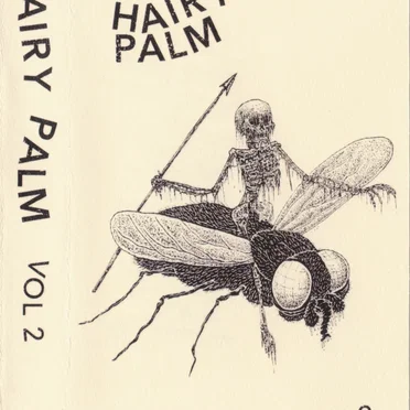Hairy Palm Vol 2 by Various Artists - album cover