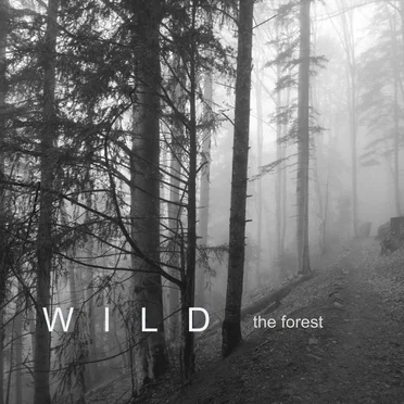 The Forest