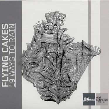 19 Ways to Rain by Flying Cakes - album cover