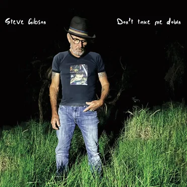 Don't take me down by Steve Gibson - album cover