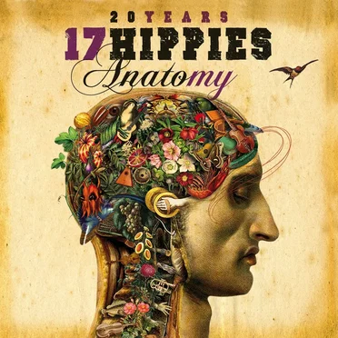 Anatomy & Metamorphosis