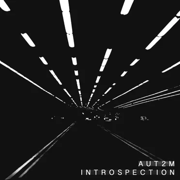 Introspection