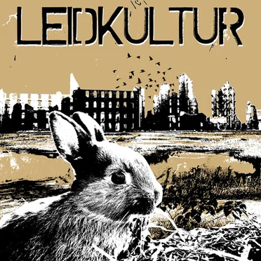 Leidkultur