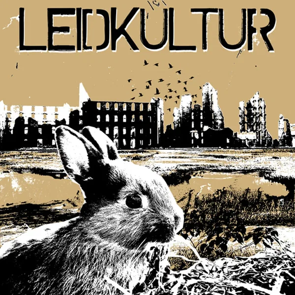 Leidkultur