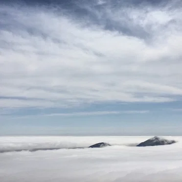 Watching the Fog Spill