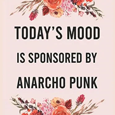 Radio Weirdo - The Anarcho Punk Special (Part 3) by Radio Weirdo - album cover