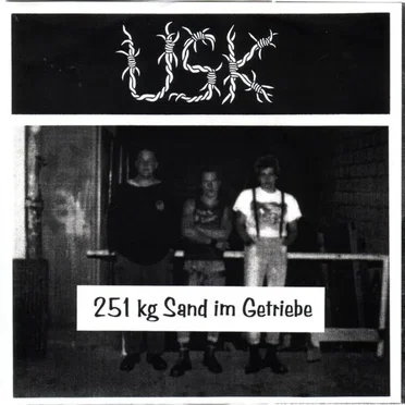 251 Kg Sand Im Getriebe