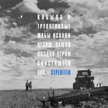 Серенгети by Кобыла и Трупоглазые Жабы Искали Цезию, Нашли Поздно Утром Свистящего Хна - album cover