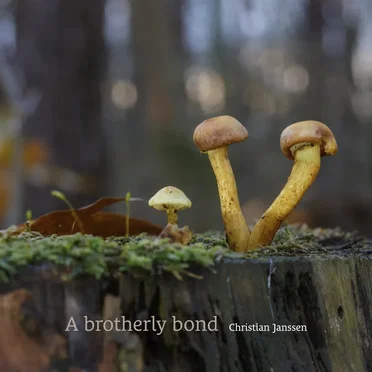 A brotherly bond