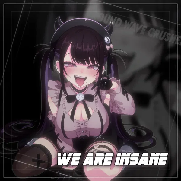 We Are Insane