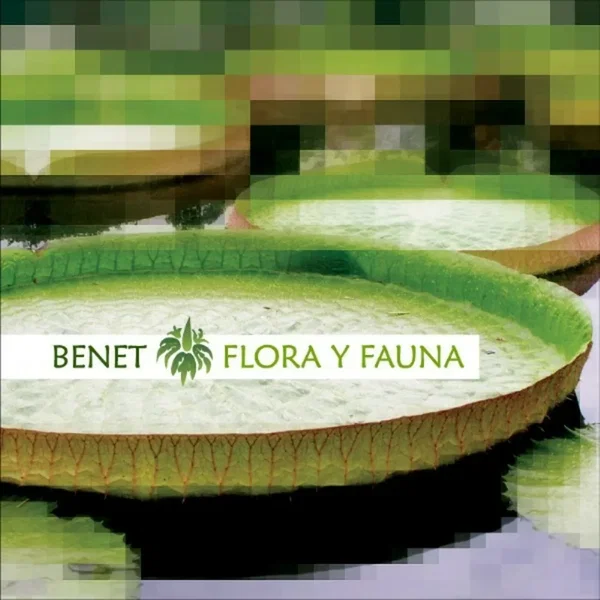 Flora Y Fauna