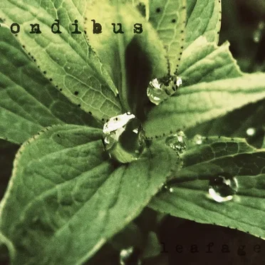 Leafage by Frondibus - album cover