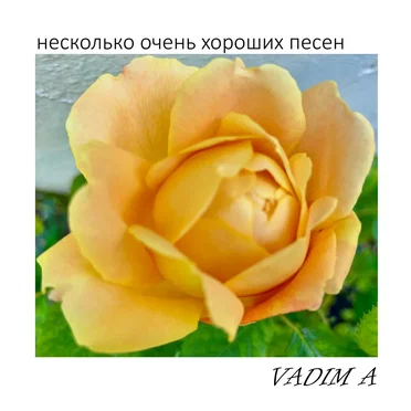 Несколько Очень Хороших Песен