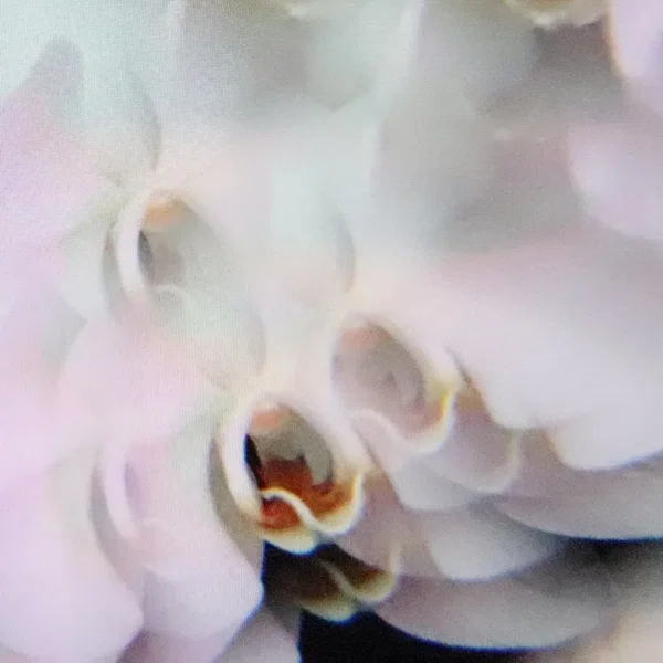 In‐Visible‐Distance