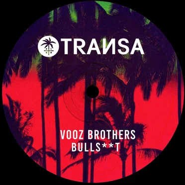 Bullshit by Vooz Brothers - album cover