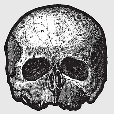 Black Pearl by Black Label Society - album cover