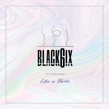 Like a Flower by BLACK6IX - album cover