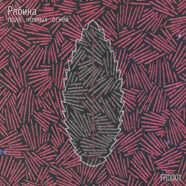 поле ночных огней by рябина - album cover