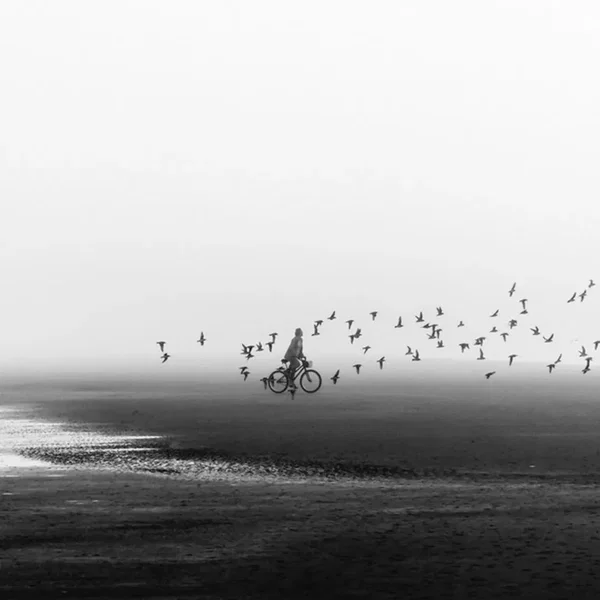 Mystical Illusions