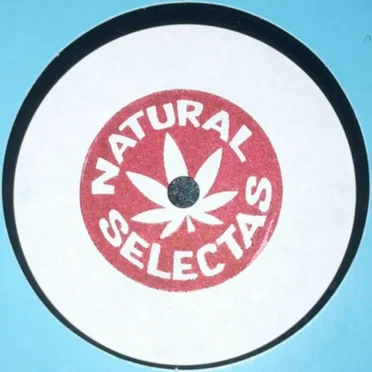 Political Pressure / Melodica Decompression