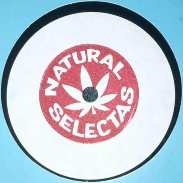 Political Pressure / Melodica Decompression