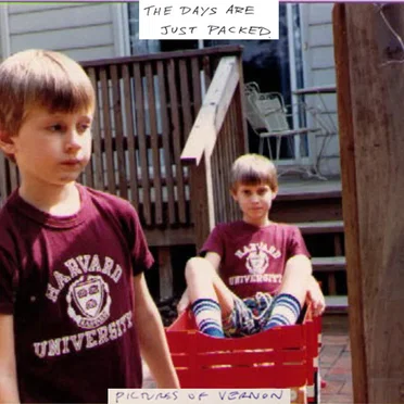 The Days Are Just Packed by Pictures of Vernon - album cover