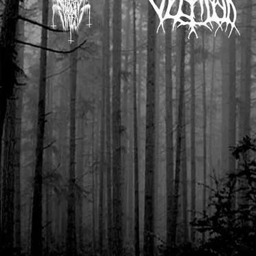 Maze Forest of Hate