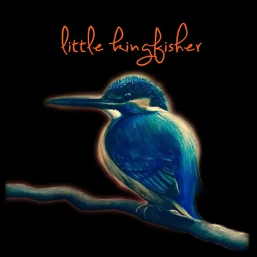 Little Kingfisher