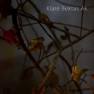 Klare Bektas Ak