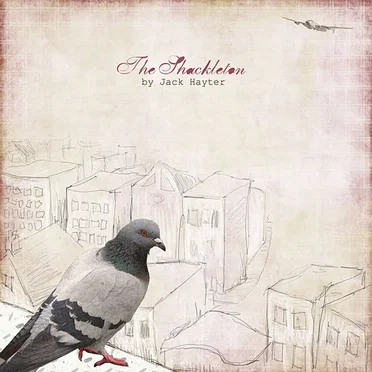 The Shackleton