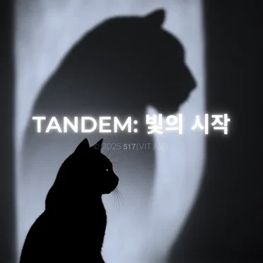 Tandem: 빛의 시작 by 517 - album cover