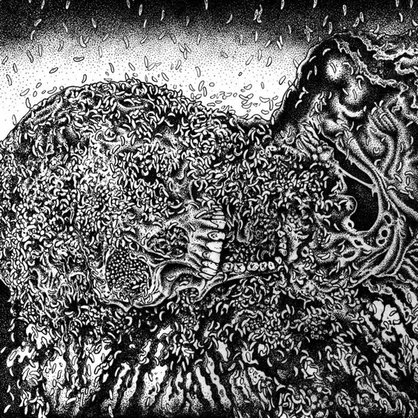 Putrefaction Sets-In / Festerdecay