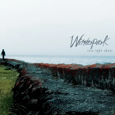 One Night Alone by Winterpark - album cover
