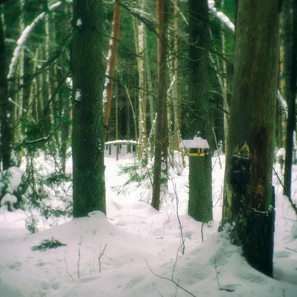 Drifting Between Seasons