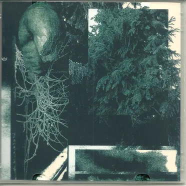 Loyal to None by Sanctuary State - album cover