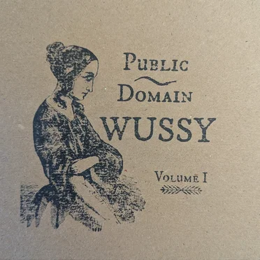 Public Domain, Volume I
