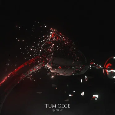 Tüm Gece by Lia Shine - album cover