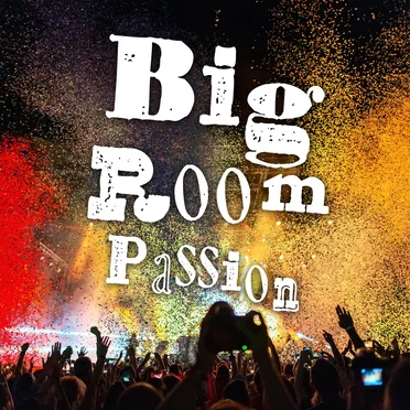 Big Room Passion by Various Artists - album cover