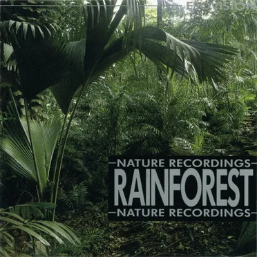 Rainforest