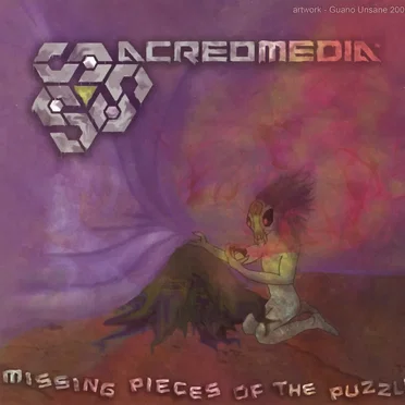 Missing Pieces of the Puzzle by Various Artists - album cover