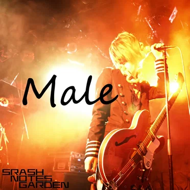 Male by SRASH NOTES GARDEN - album cover