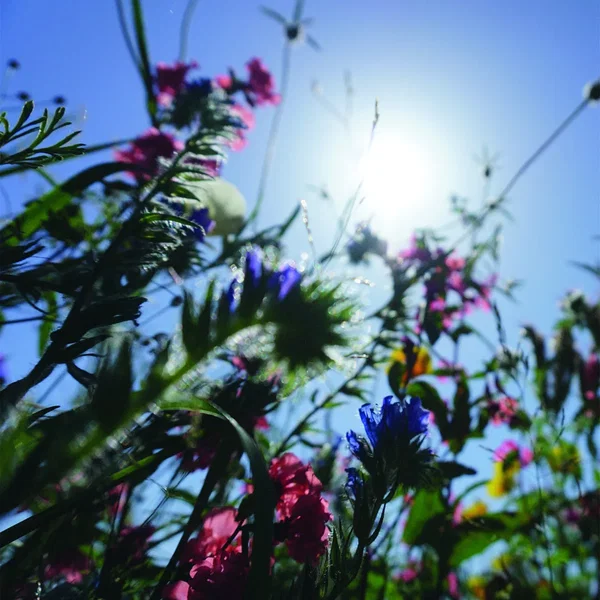 [ B O L T ] + Aidan Baker