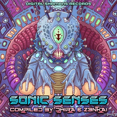 Sonic Senses by Various Artists - album cover