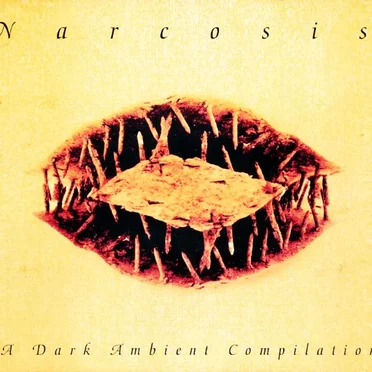 Narcosis: A Dark Ambient Compilation by Various Artists - album cover